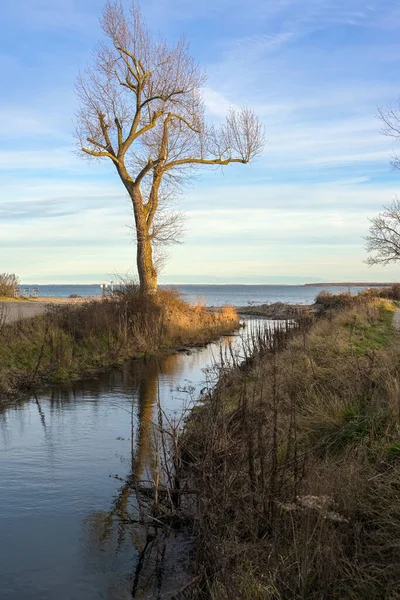 Estuaire Ruisseau Eau Douce Jetant Dans Mer Baltique Paysage Avec — Photo