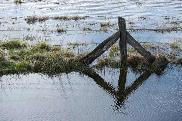 Weerbestendige Houten Hekpaal Het Water Een Overstroomde Weide Wetlands Landschap — Stockfoto