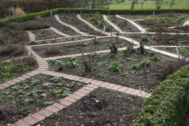 Sebze ve sebze bahçesi, hasat edilmiş yataklar, uzun ömürlü bitkiler ve tuğla patikaları baharı beklemek, seçilmiş odak noktası, dar alan derinliği.