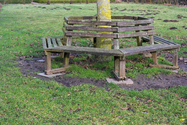 Traditional Wooden Bench Tree Trunk Lawn Park Copy Space Selected — Stock Photo, Image