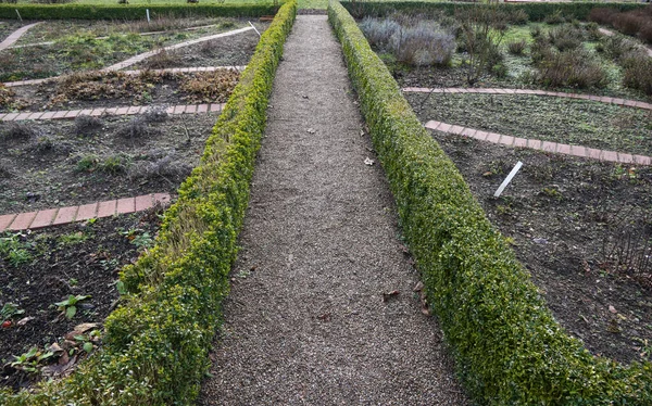 Schotterweg Mit Buchshecke Durch Einen Traditionellen Kräuter Und Gemüsegarten Mit — Stockfoto