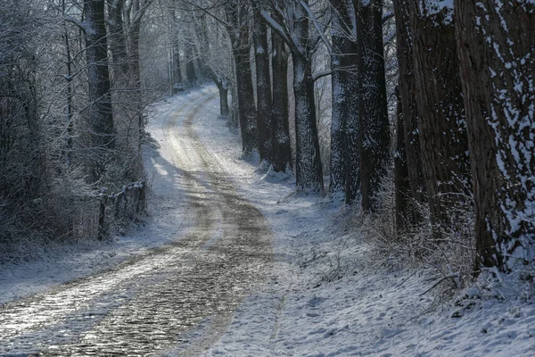 Narrow Curvy Country Road Cobblestone Winter Covered Ice Snow Dark — Stock Photo, Image