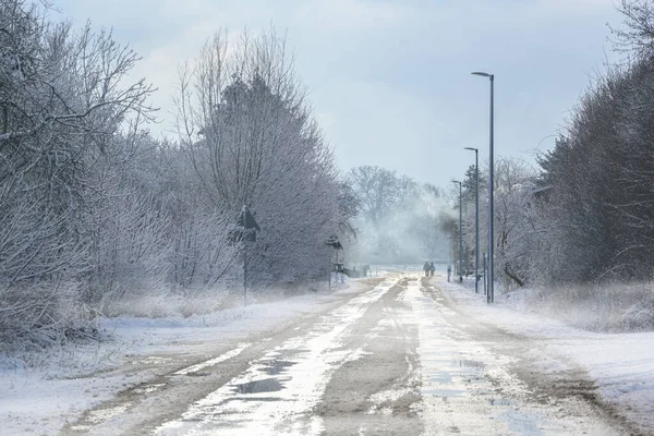 Country road with bushes and bare trees in winter, slippery and dangerous for traffic due to wetness, mist, snow and ice, two people walking in the background, copy space, selected focus narrow depth of field
