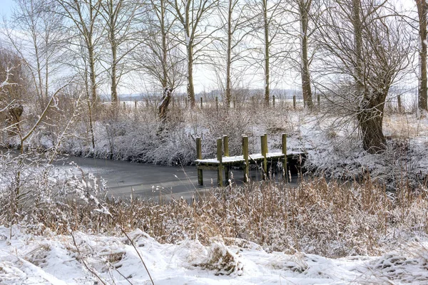 Dřevěný Lávkový Můstek Nebo Molo Pokryté Sněhem Břehu Jezera Rákosím — Stock fotografie