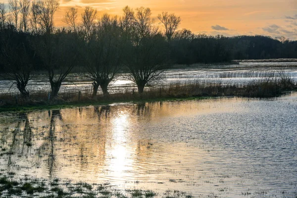 Coucher Soleil Avec Reflet Dans Eau Une Zone Humide Avec — Photo