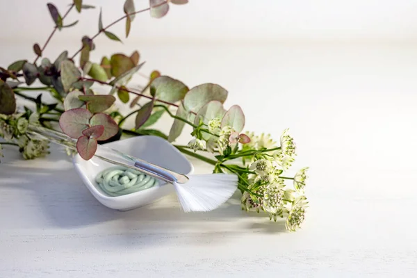 Cosmetic Moisturizer Mask Small Bowl Brush Few Green Flower Branches — Stock Photo, Image