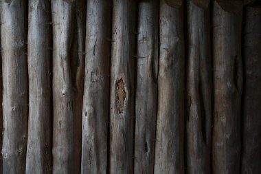 Yuvarlak ahşap palisades duvarı, tam çerçeve arkaplan dokusu, mimari konsept, kopyalama alanı, seçili odak
