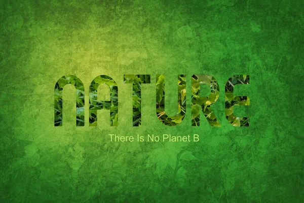 Texto Inscrição Nature Planet Abstract Green Background Texture Ecology Concept — Fotografia de Stock