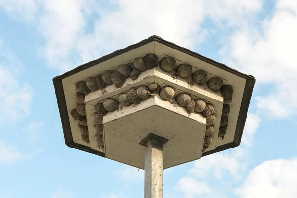 Swallow Hotel Step Roof Overhangs Artificial Hsting Aids Made Concrete — Stock fotografie