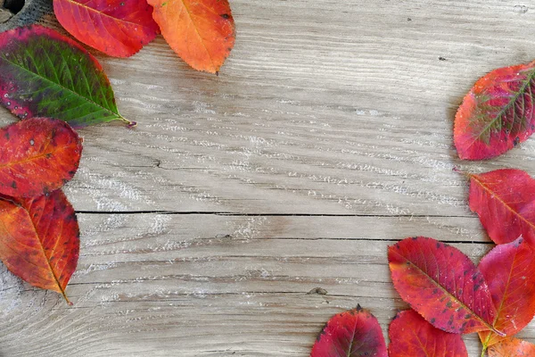 Herbst Hintergrund, altes Holz mit roten Blättern in zwei Ecken — Stockfoto