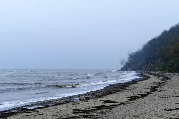 Praia de inverno, costa áspera e ondas, mar baltico — Fotografia de Stock