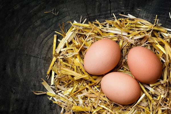 Uova in un nido di paglia su sfondo di legno scuro, copiare spazio — Foto Stock