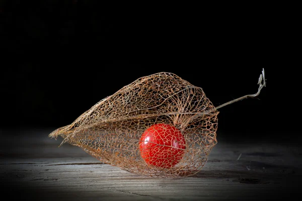 Physalis pe lemn vechi, fundal negru — Fotografie, imagine de stoc