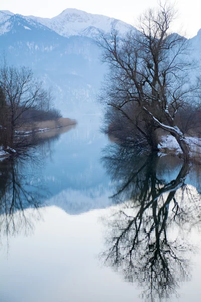 Fjellsjø om vinteren, bare trær med refleksjoner i stille vann – stockfoto