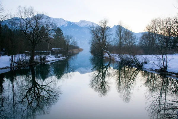 Árboles de invierno con reflejo en un lago, montañas en el backgro — Foto de Stock