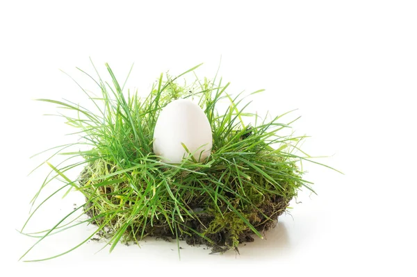 Huevo blanco en un pedazo de hierba, decoración de Pascua aislado — Foto de Stock