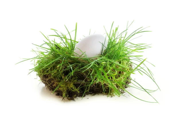 Witte ei in een stukje gras geïsoleerd op witte achtergrond — Stockfoto