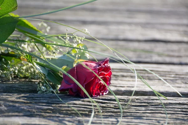 Amour jeté, bouquet de roses oublié sur vieux bois — Photo