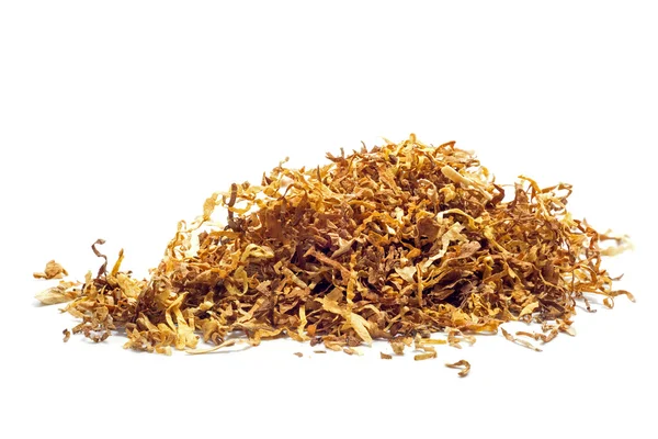 Tobacco  isolated on white background — Stock Photo, Image