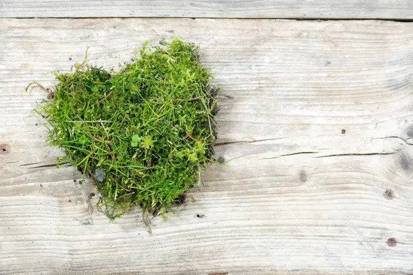 Forme de coeur de mousse et d'herbe sur vieux bois, fond d'amour — Photo