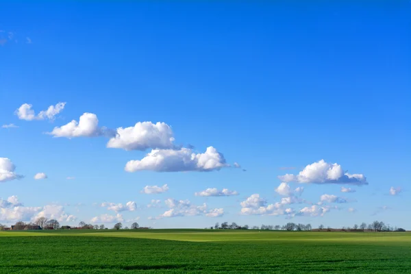 Голубое небо с облаками над широким зеленым пейзажем страны — стоковое фото