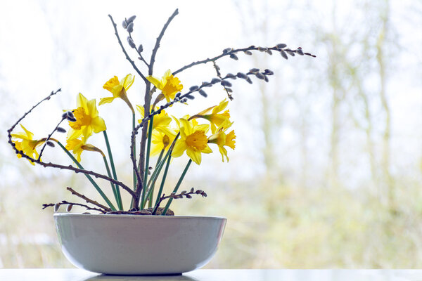 spring decoration, daffodils and pussy willow in a ceramic bowl 