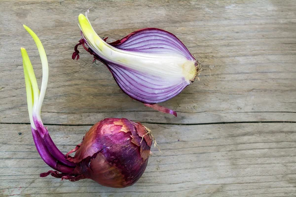 Germogliano cipolle rosse intere e metà su legno rustico — Foto Stock