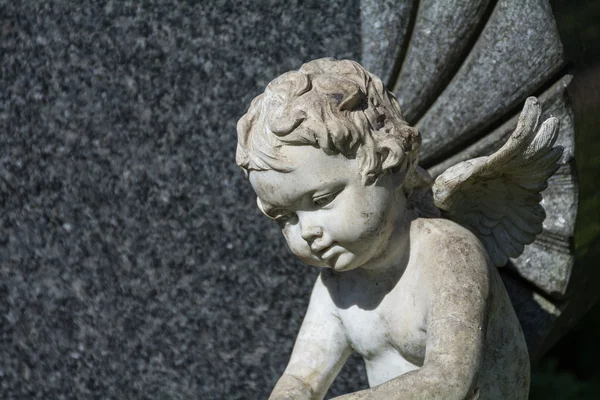 Putto of kind engel standbeeld als een graf steen op een kerkhof — Stockfoto