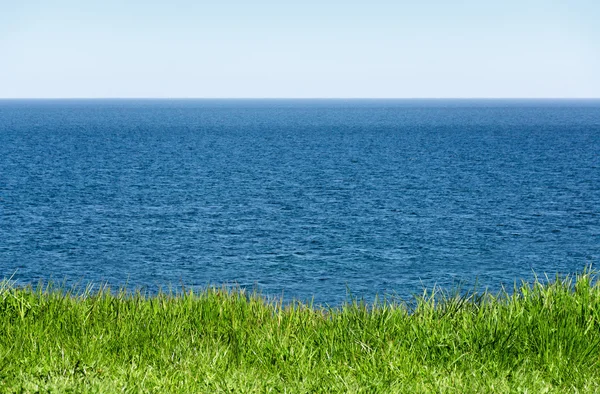 Grama verde em frente ao largo mar azul e horizonte para o céu — Fotografia de Stock