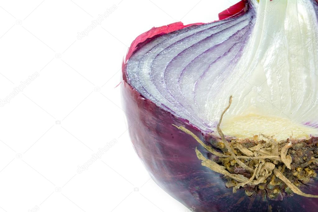 half red onion, close up shot isolated on white 