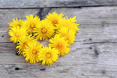 dandelions yıpranmış ahşap üzerine yapılan kalp şeklinde çelenk