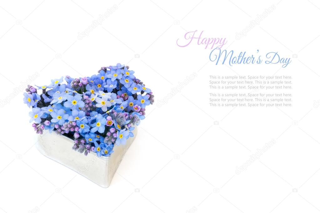 Forget-me-not flowers in a heart shape for mother's day, isolated on white