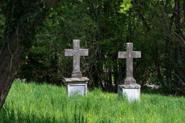 aşırı büyümüş bir mezarlığındaki mezar taşları olarak iki eski taş haçlar
