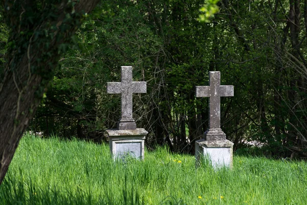 Dos viejas cruces de piedra como lápidas en un cementerio cubierto de vegetación —  Fotos de Stock