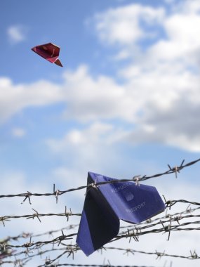 refugee passport hangs in barbed wire, an European passport flie