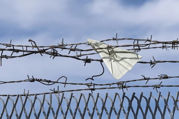 Paper plane gets stuck in barbed wire — Zdjęcie stockowe