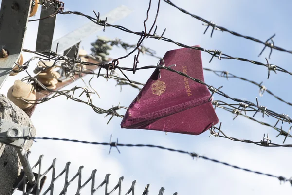 Passport folded as a paper plane hanging in a barbed wire — Stok fotoğraf