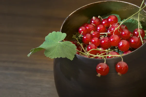 Красная смородина и листья в металлической чаше против коричневой спинки — стоковое фото