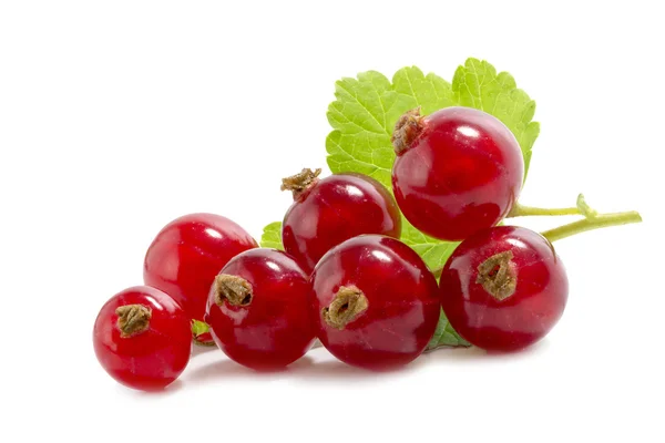 Rote Johannisbeeren mit grünem Blatt auf weißem Isolat — Stockfoto