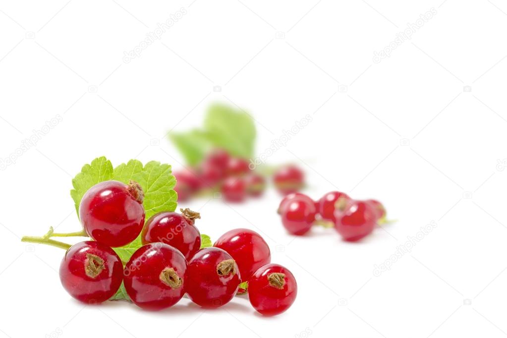 Red currants, isolated on white,  some blurry berries in the background