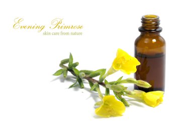  Evening primrose yağı, çiçek ve üzerinde beyaz izole bir şişe