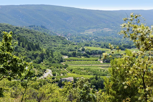 Paisaje en el sur de Europa con una antigua bodega, viñedos, campos — Foto de Stock