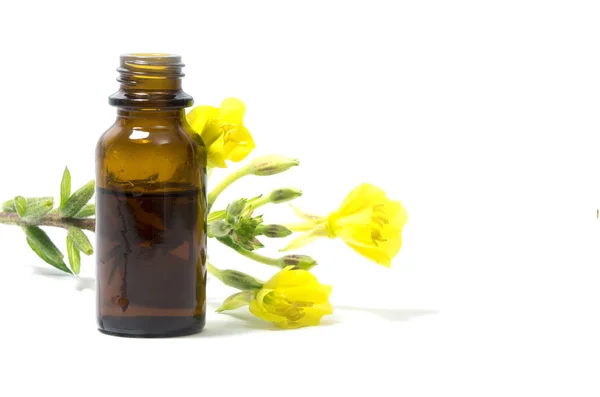 Aceite de onagra, flores y una botella, aislado en blanco — Foto de Stock