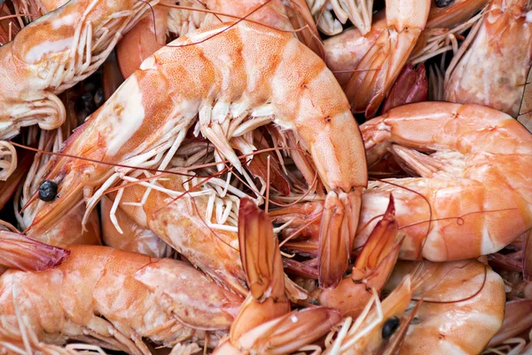 Background from shrimps — Stock Photo, Image