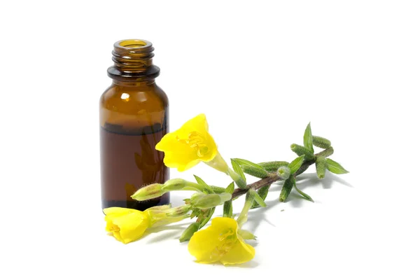 Evening primrose yağı, çiçek ve üzerinde beyaz izole bir şişe — Stok fotoğraf