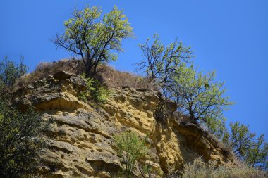  kayalar ve Provence, Güney Fransa çalıların manzara 