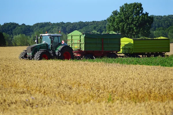 Trattore con due rimorchi alla raccolta su un campo di grano — Foto Stock