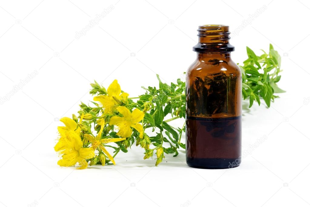 flowers of St. John's wort, Hypericum perforatum, and a bottle w