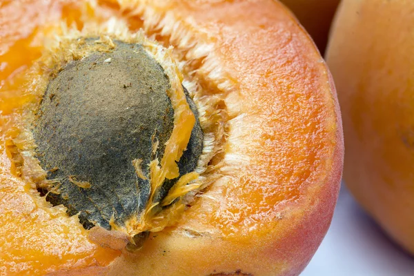 Half apricot with stone, macro shot — Stock Photo, Image