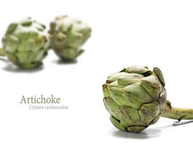 ripe artichokes  isolated on white background clipart